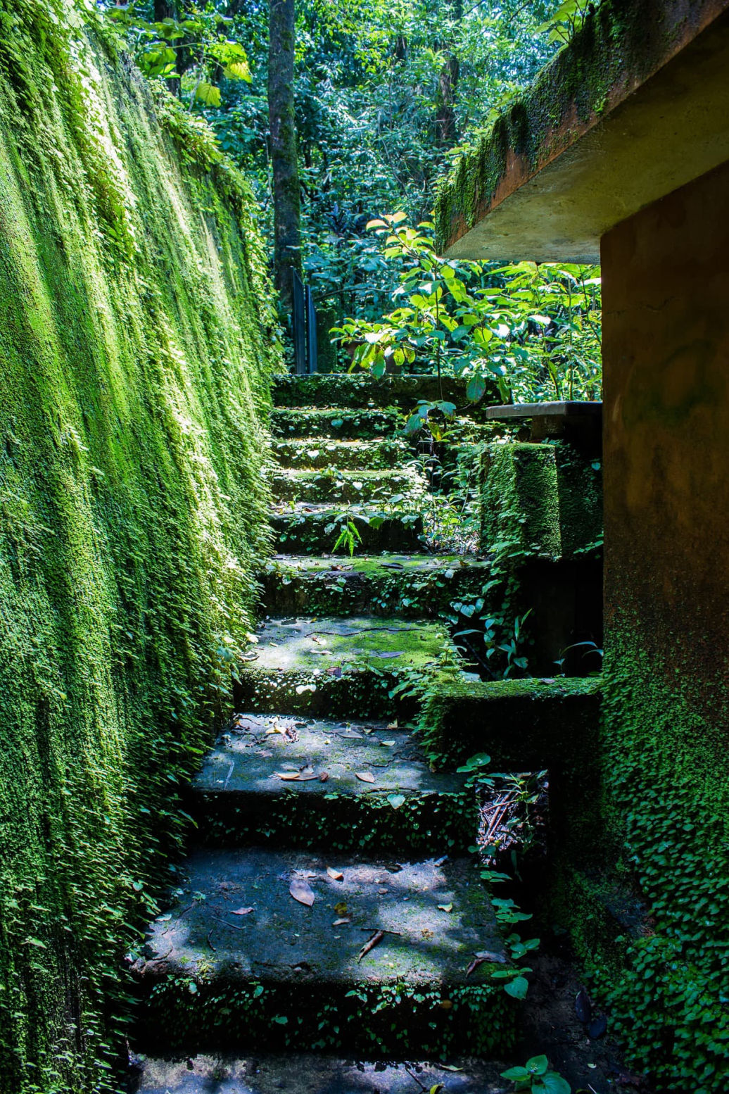Kempter Hoch und Gartenbau Bergatreute